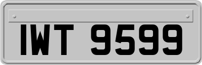 IWT9599