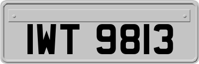 IWT9813
