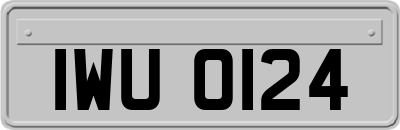 IWU0124
