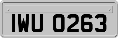 IWU0263