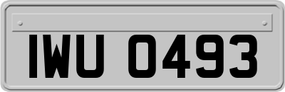 IWU0493