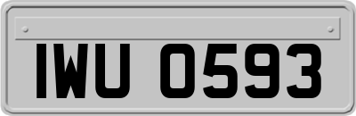 IWU0593