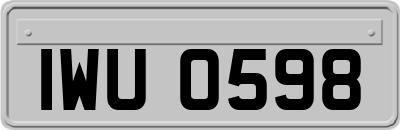 IWU0598