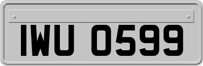 IWU0599