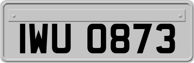 IWU0873