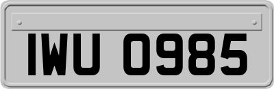IWU0985
