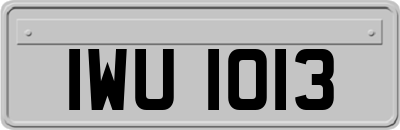 IWU1013