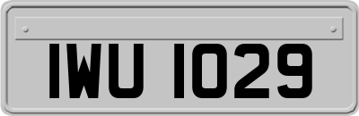 IWU1029