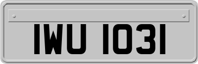 IWU1031