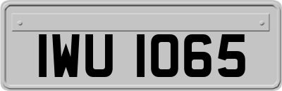 IWU1065