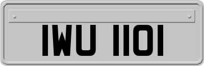IWU1101