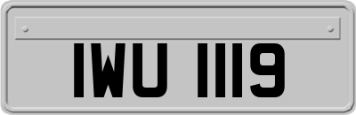 IWU1119