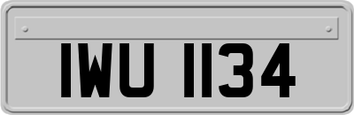 IWU1134