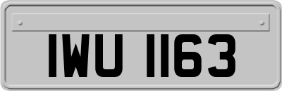 IWU1163