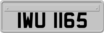 IWU1165