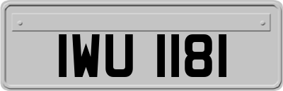 IWU1181