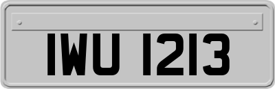 IWU1213
