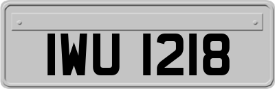 IWU1218