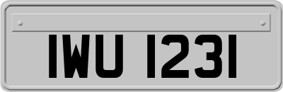 IWU1231