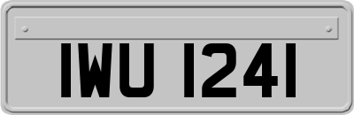 IWU1241