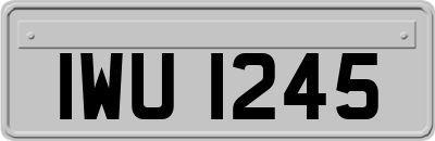 IWU1245