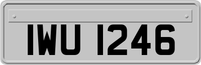 IWU1246