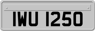 IWU1250