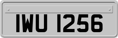 IWU1256