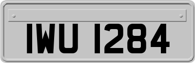 IWU1284