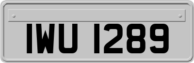 IWU1289