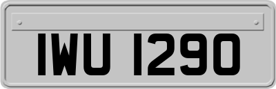 IWU1290