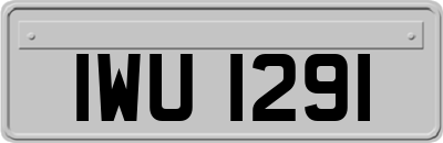IWU1291