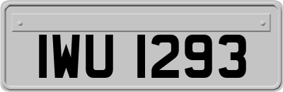 IWU1293