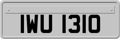 IWU1310