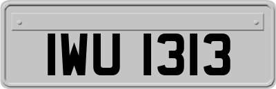 IWU1313