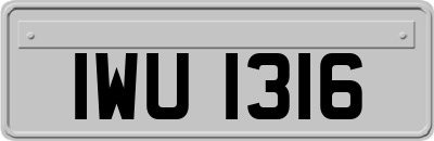 IWU1316