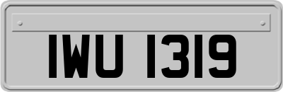 IWU1319