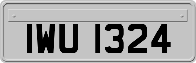 IWU1324