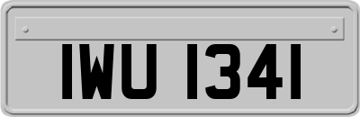 IWU1341