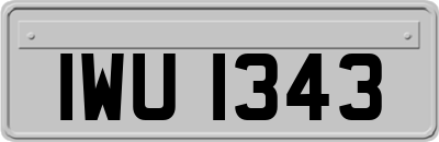 IWU1343
