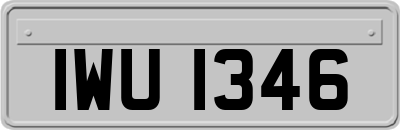 IWU1346