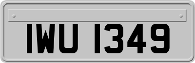 IWU1349