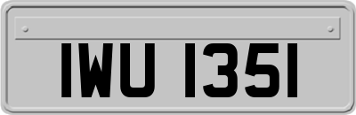 IWU1351
