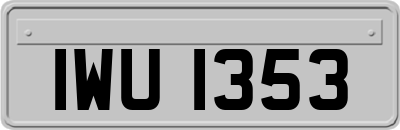 IWU1353