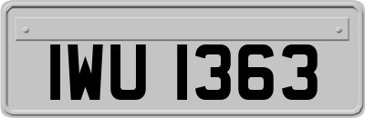 IWU1363