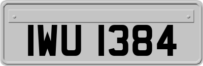 IWU1384
