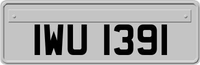 IWU1391