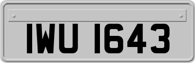 IWU1643