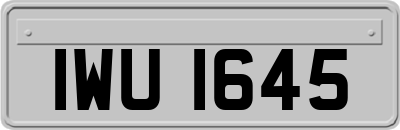 IWU1645