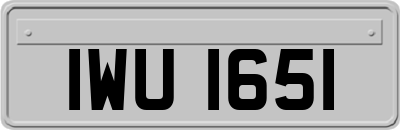 IWU1651